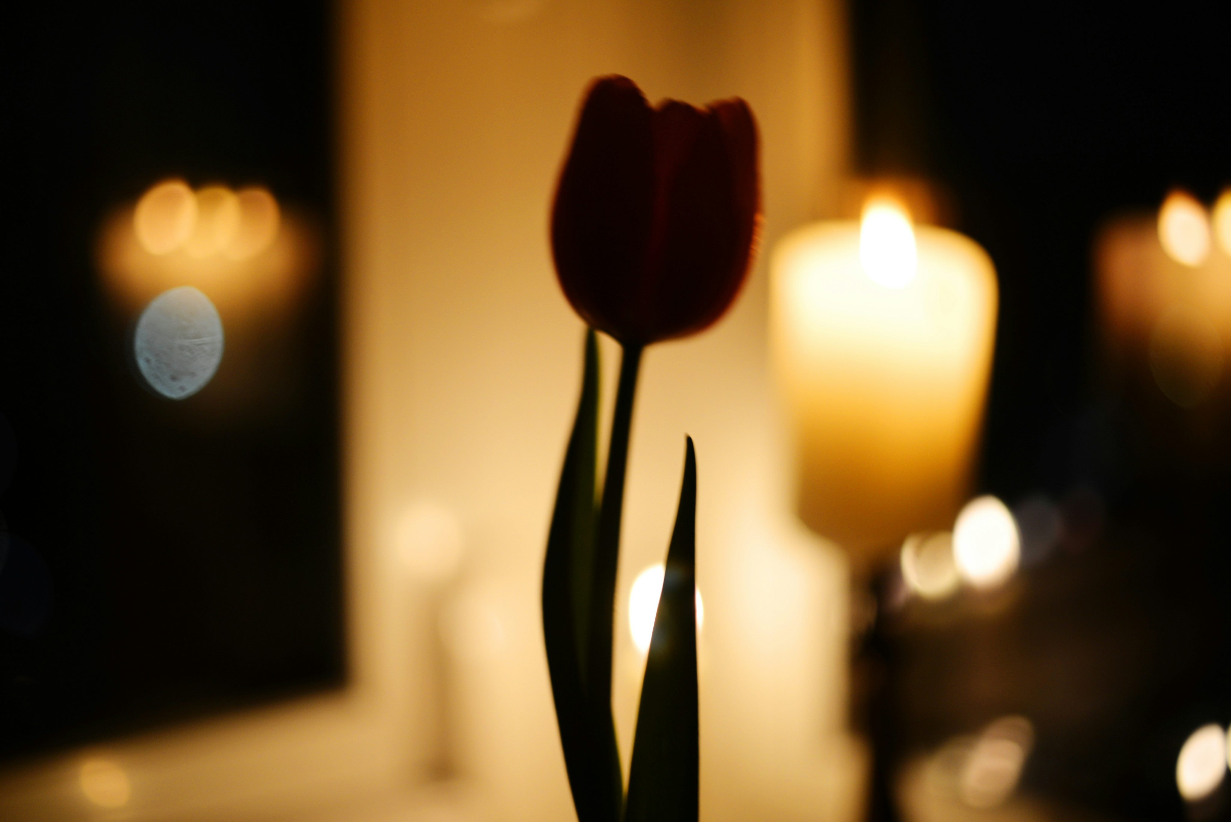 What is a funeral celebrant?